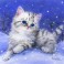 6314 - Kitten in the Snow