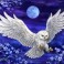 12996 - Moonlight Owl
