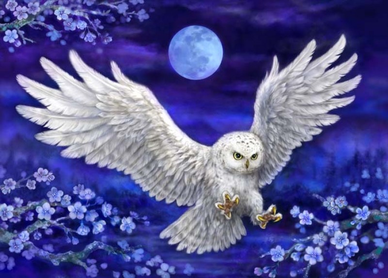 12996 - Moonlight Owl