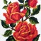 3186 - Orange Roses