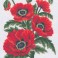 3149 - Poppies