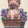 3139 - Kitten in Flower Box