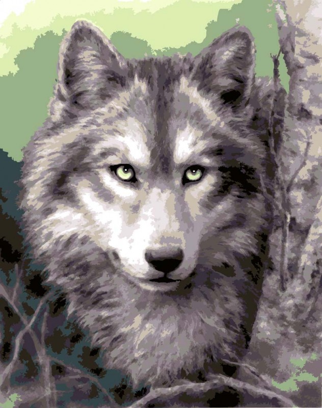 10503 - Grey Wolf 10503 - Grey Wolf