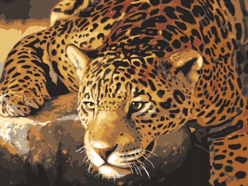 10502 - Jaguar Prowl 10502 - Jaguar Prowl