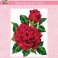3285K - Red Rose and Rose Bud