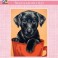 3271K - Black Puppy