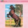 3083K - Black Stallion
