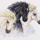 12961 - Equine Study