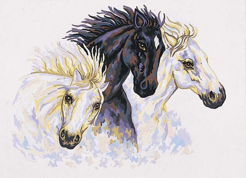 12961 - Equine Study 12961 - Equine Study