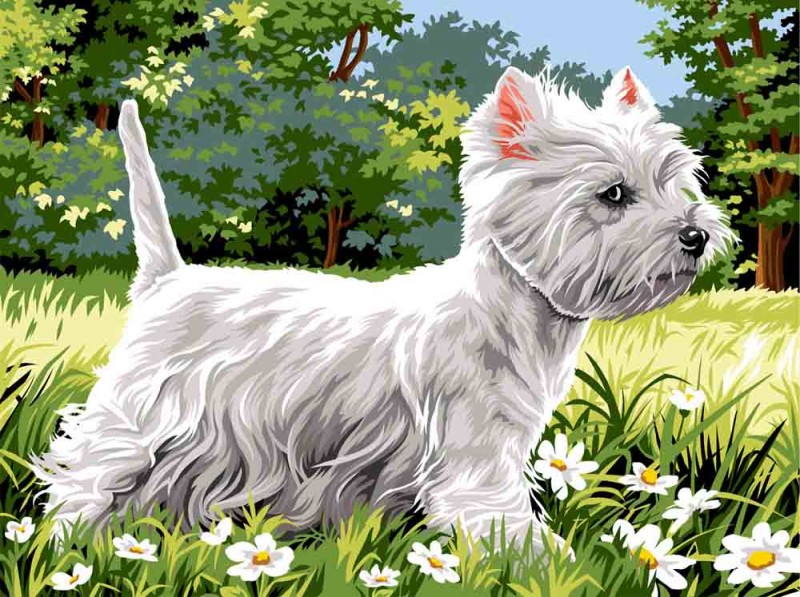 926.324 - Canevas Westie