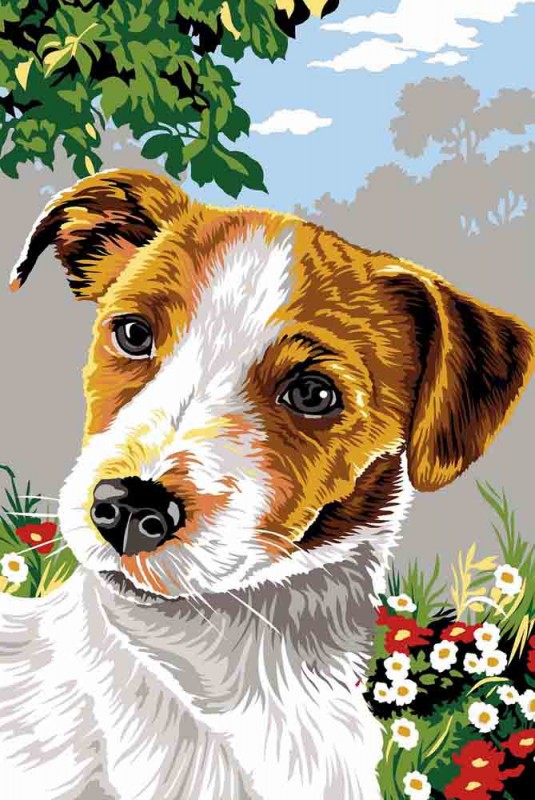 928.340 - Jack Russel 928.340 - Jack Russel