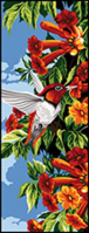 950.158 - Colibri