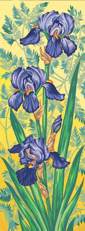 62.174 - Les Iris Mauves