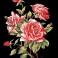 72.2098 - Branch De Roses Babies Children