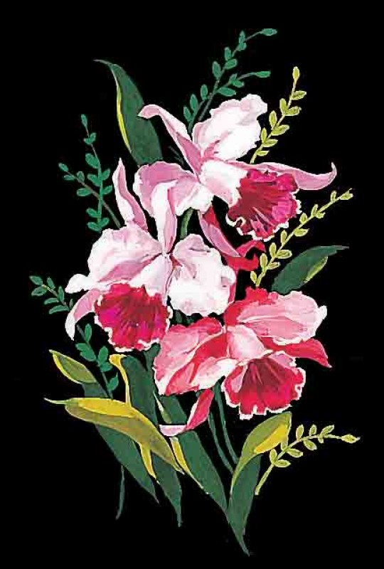 72.2152 - Canevas Orchidees 72.2152 - Canevas Orchidees