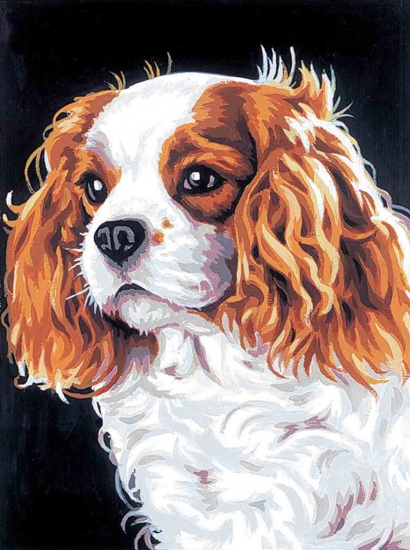 72.2262 - Le Cavalier Kink Charl