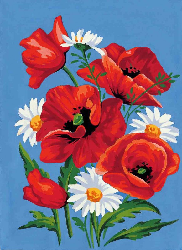 72.2270 - Coquelicots