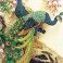 850.004 - Peacock Majesty