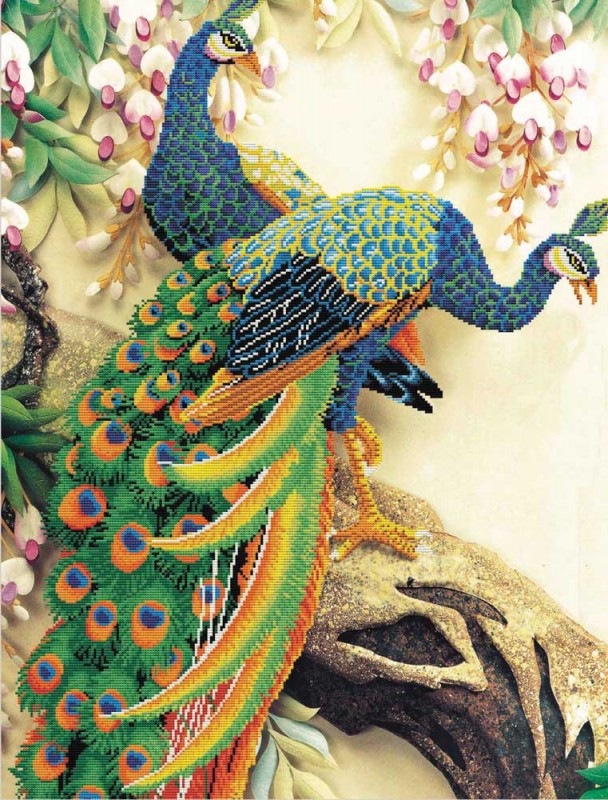 850.004 - Peacock Majesty