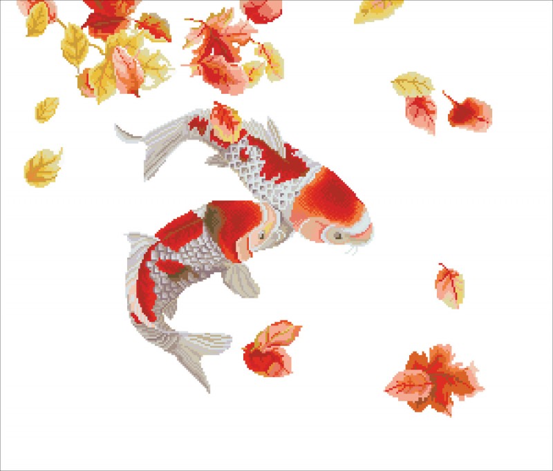 750.020 - Koi Carp